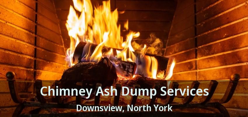 Chimney Ash Dump Services Downsview, North York - ON