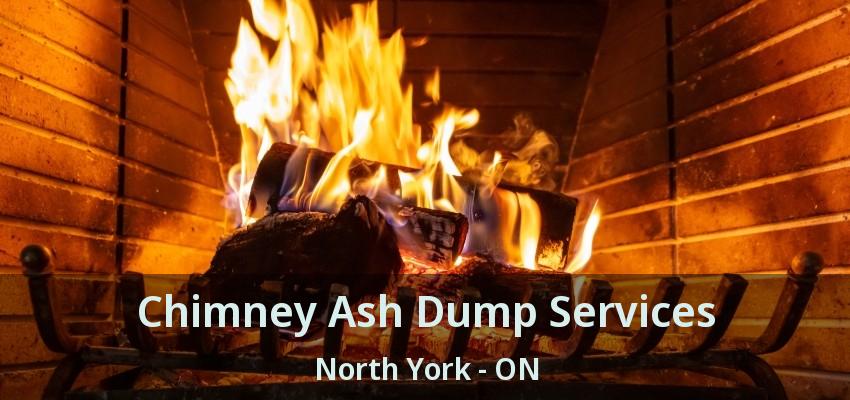 Chimney Ash Dump Services North York - ON
