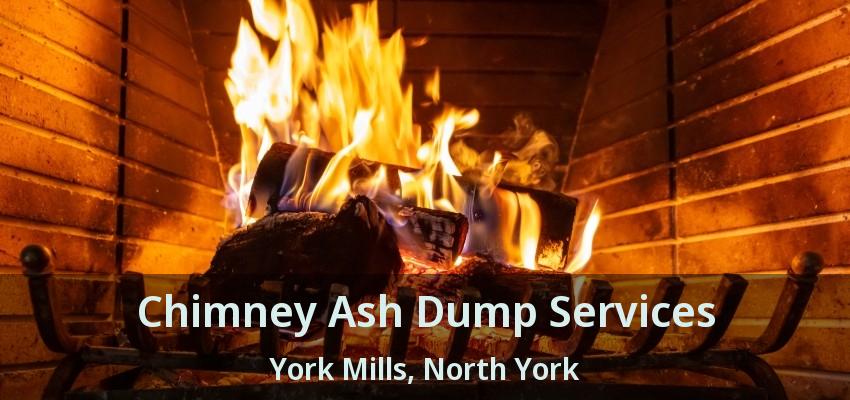 Chimney Ash Dump Services York Mills, North York - ON