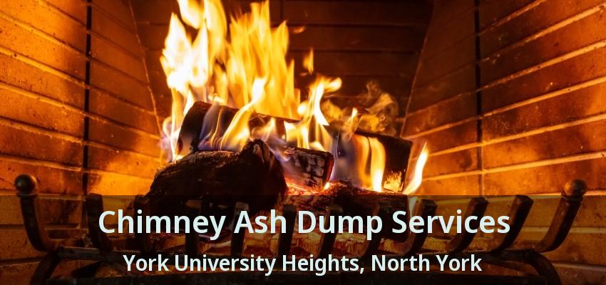 Chimney Ash Dump Services York University Heights, North York - ON