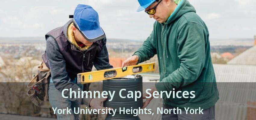 Chimney Cap Services York University Heights, North York - ON