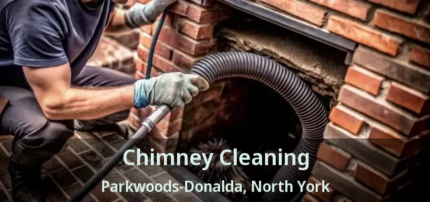 Chimney Cleaning Parkwoods-Donalda, North York - ON