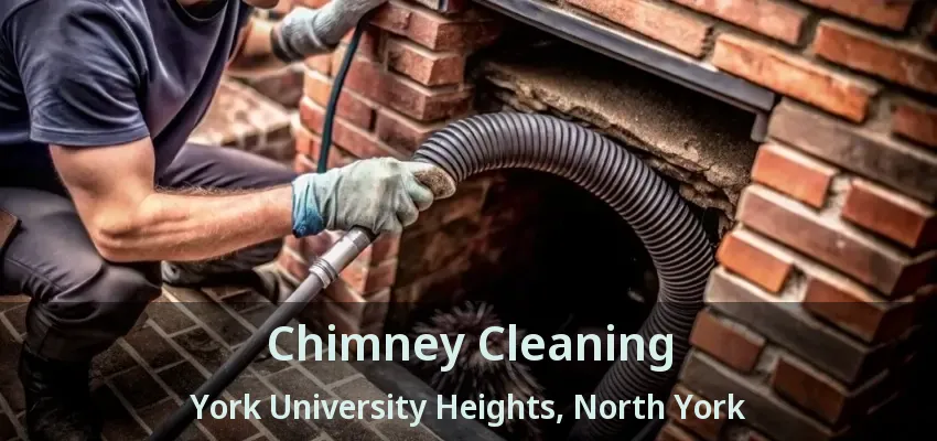 Chimney Cleaning York University Heights, North York - ON