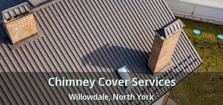 Chimney Cover Services Willowdale, North York - ON