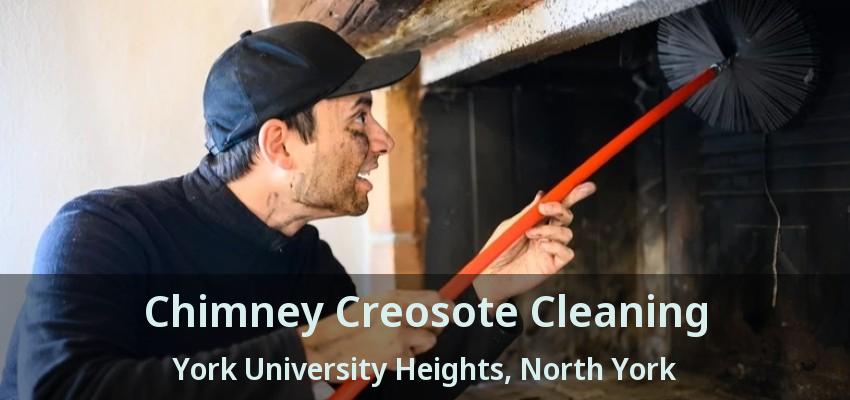 Chimney Creosote Cleaning York University Heights, North York - ON