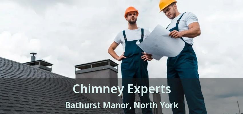 Chimney Experts Bathurst Manor, North York - ON