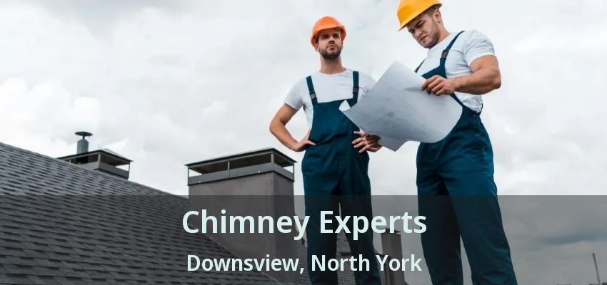 Chimney Experts Downsview, North York - ON