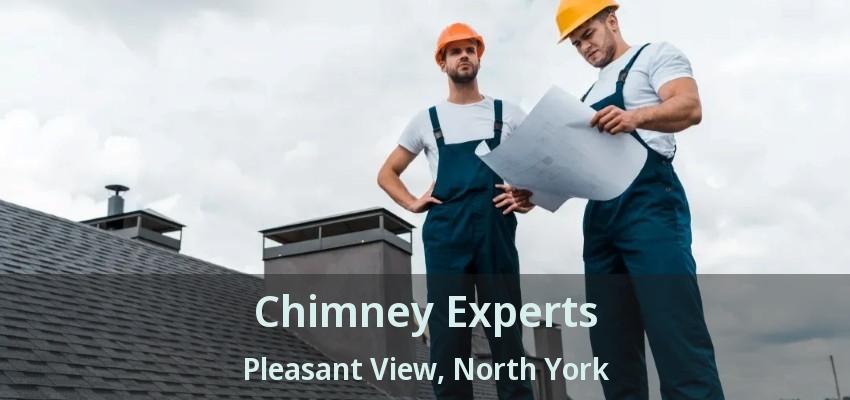 Chimney Experts Pleasant View, North York - ON