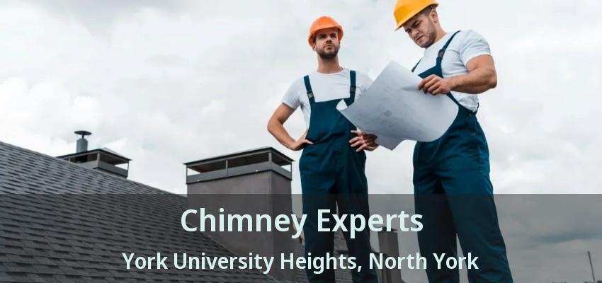 Chimney Experts York University Heights, North York - ON
