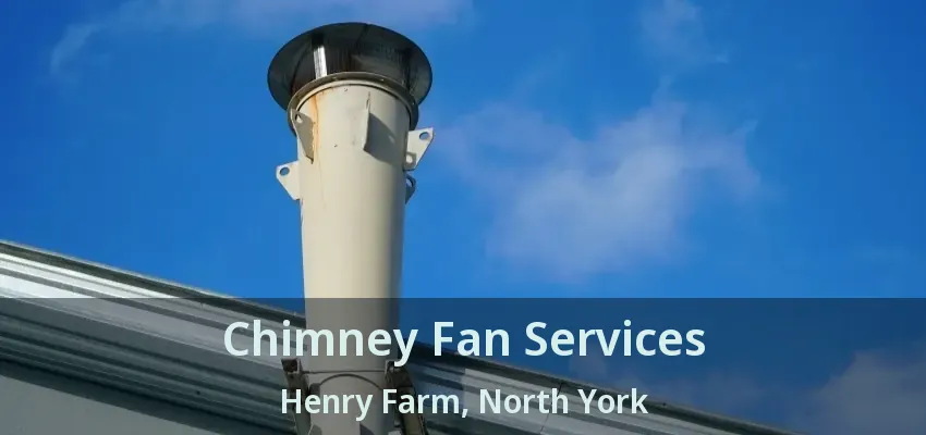 Chimney Fan Services Henry Farm, North York - ON