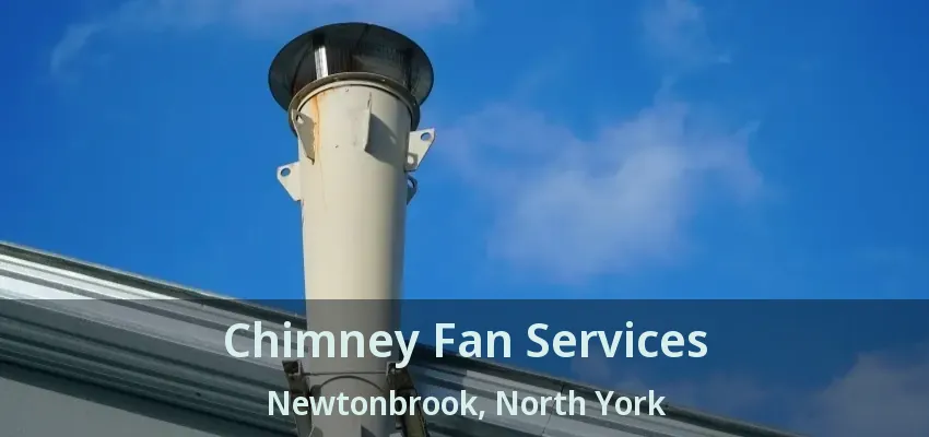 Chimney Fan Services Newtonbrook, North York - ON