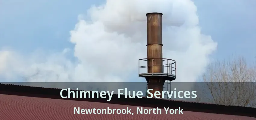 Chimney Flue Services Newtonbrook, North York - ON