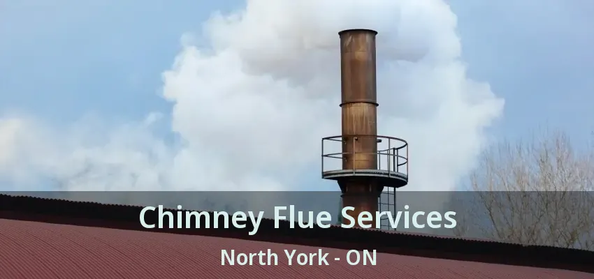 Chimney Flue Services North York - ON