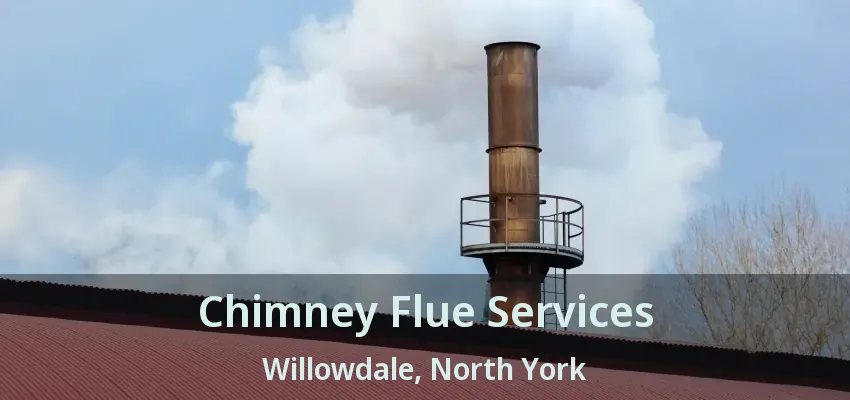 Chimney Flue Services Willowdale, North York - ON
