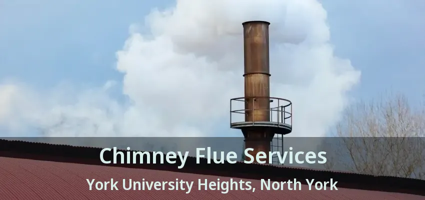 Chimney Flue Services York University Heights, North York - ON