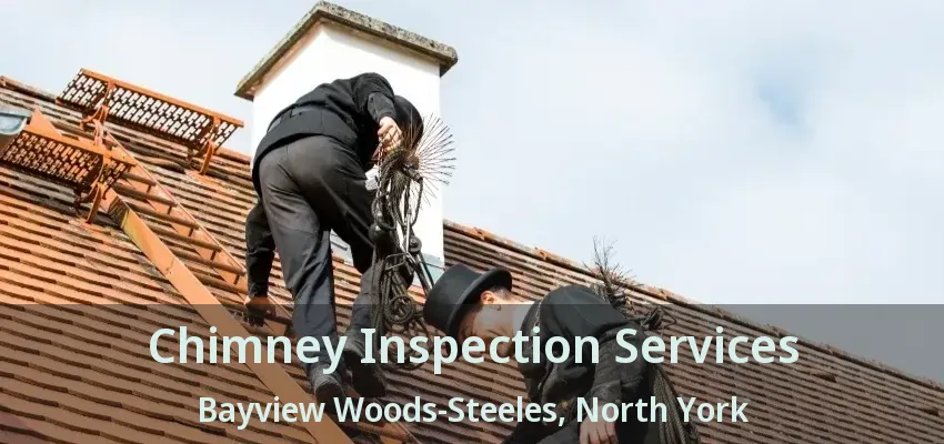 Chimney Inspection Services Bayview Woods-Steeles, North York - ON