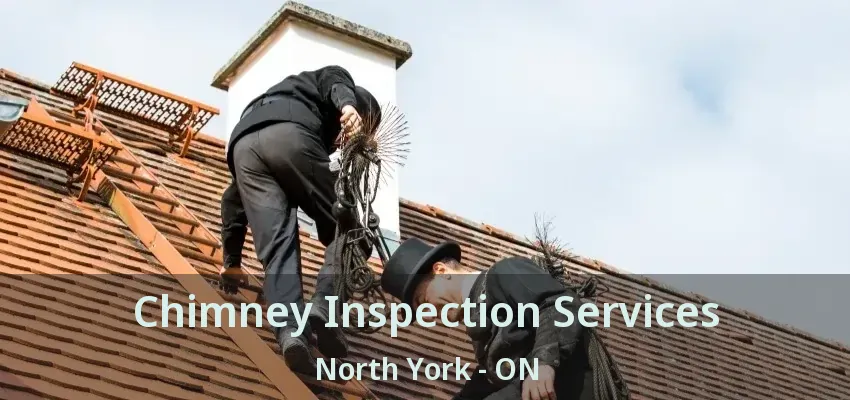 Chimney Inspection Services North York - ON