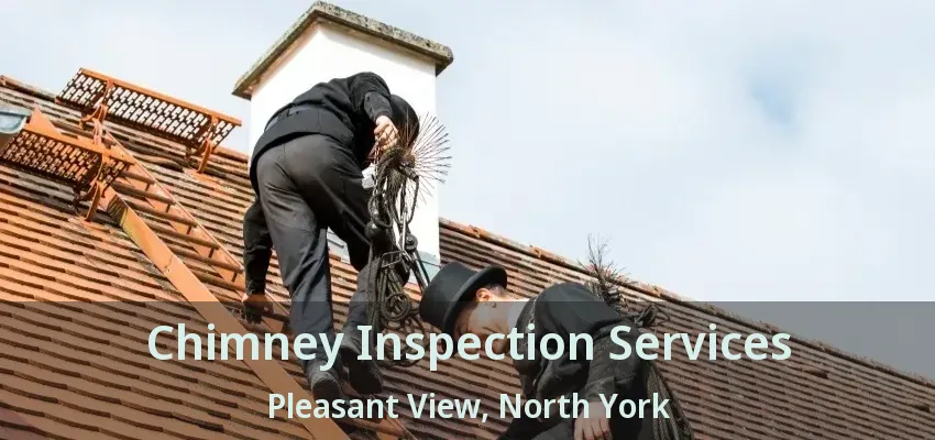 Chimney Inspection Services Pleasant View, North York - ON