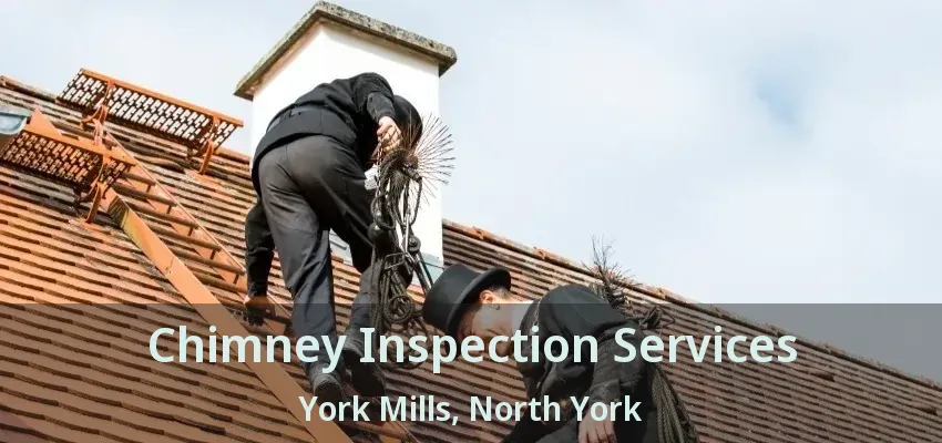 Chimney Inspection Services York Mills, North York - ON