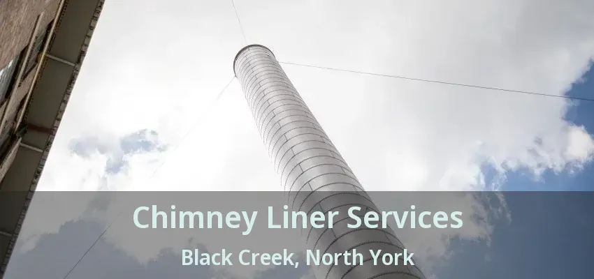 Chimney Liner Services Black Creek, North York - ON