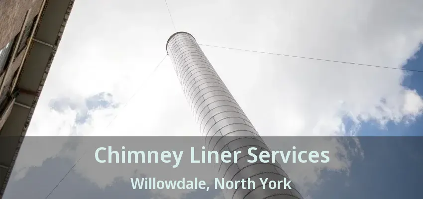 Chimney Liner Services Willowdale, North York - ON