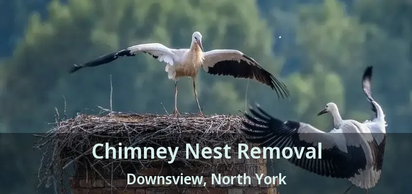 Chimney Nest Removal Downsview, North York - ON