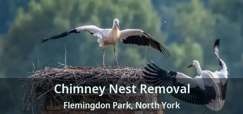 Chimney Nest Removal Flemingdon Park, North York - ON