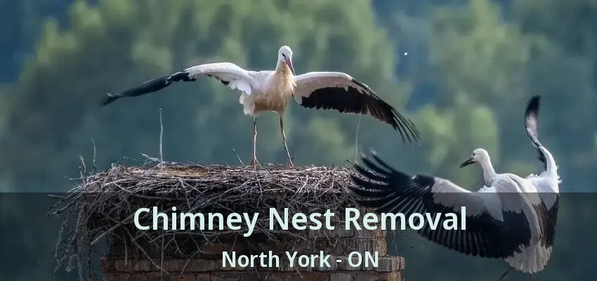 Chimney Nest Removal North York - ON