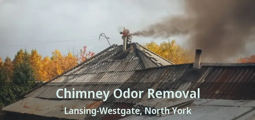 Chimney Odor Removal Lansing-Westgate, North York - ON