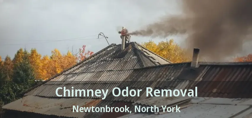 Chimney Odor Removal Newtonbrook, North York - ON