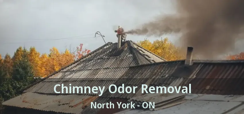 Chimney Odor Removal North York - ON