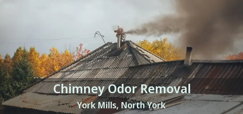 Chimney Odor Removal York Mills, North York - ON
