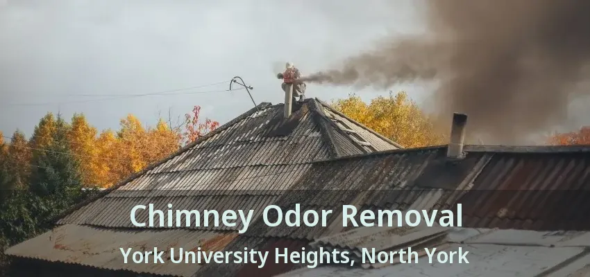 Chimney Odor Removal York University Heights, North York - ON