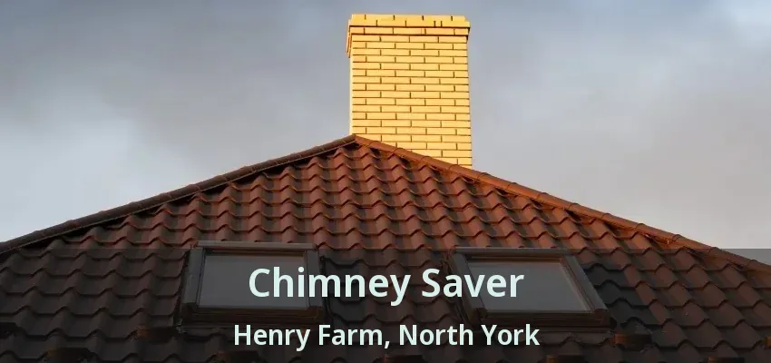 Chimney Saver Henry Farm, North York - ON