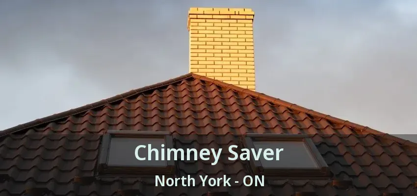 Chimney Saver North York - ON