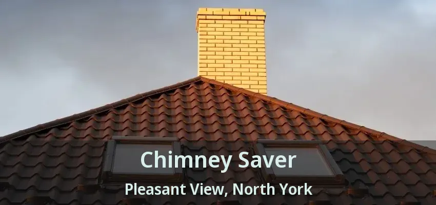 Chimney Saver Pleasant View, North York - ON