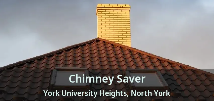 Chimney Saver York University Heights, North York - ON