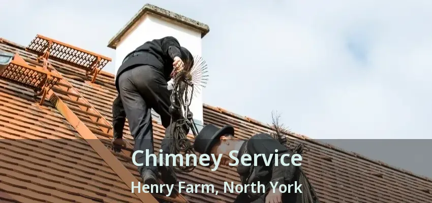 Chimney Service Henry Farm, North York - ON