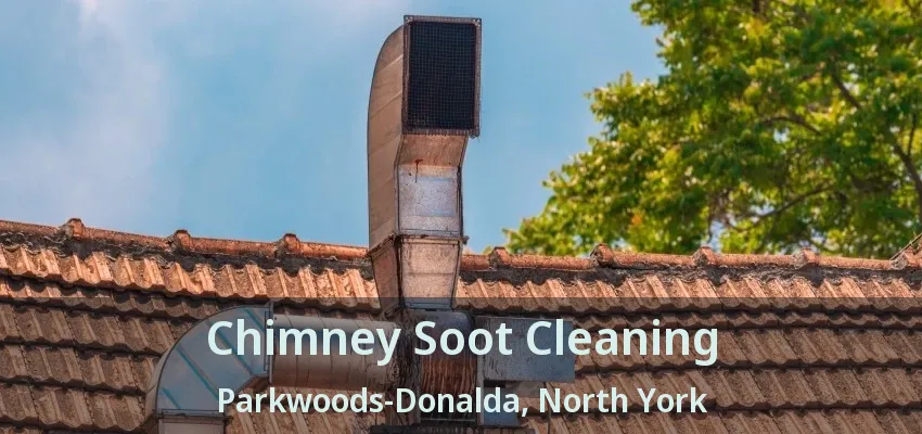 Chimney Soot Cleaning Parkwoods-Donalda, North York - ON