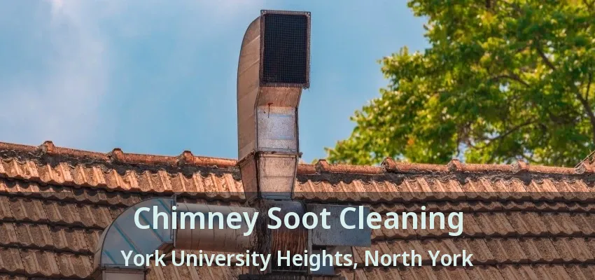 Chimney Soot Cleaning York University Heights, North York - ON