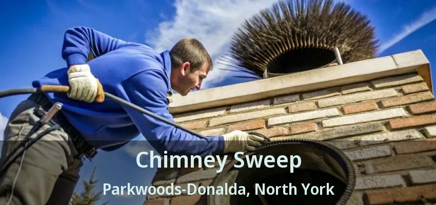 Chimney Sweep Parkwoods-Donalda, North York - ON