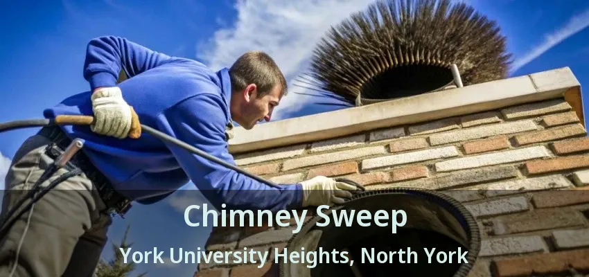 Chimney Sweep York University Heights, North York - ON