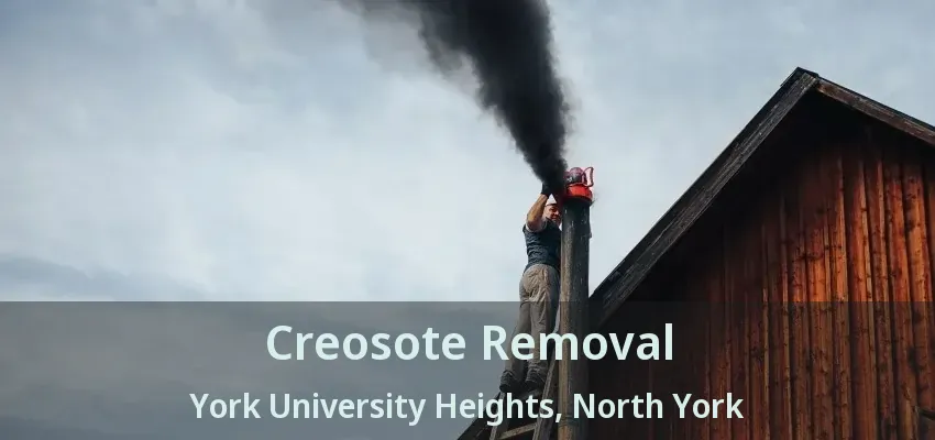 Creosote Removal York University Heights, North York - ON