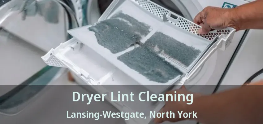 Dryer Lint Cleaning Lansing-Westgate, North York - ON