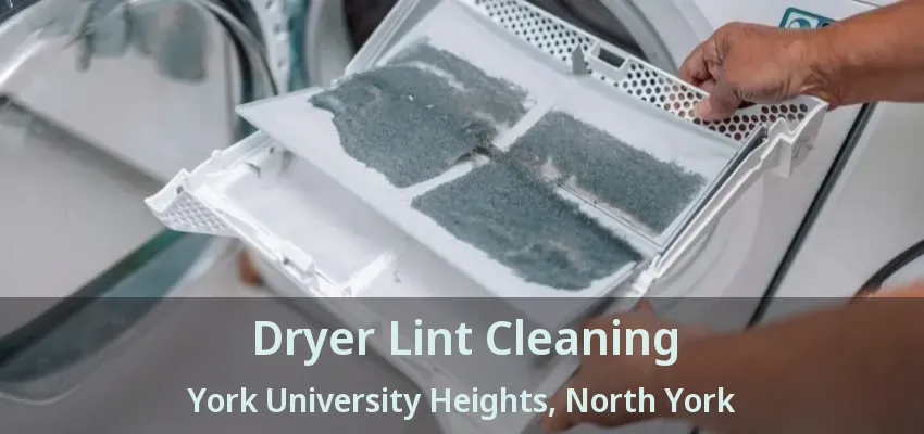 Dryer Lint Cleaning York University Heights, North York - ON