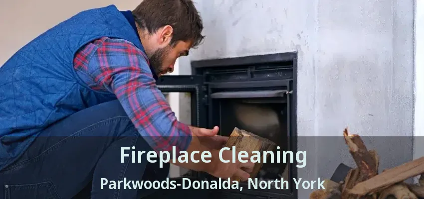 Fireplace Cleaning Parkwoods-Donalda, North York - ON