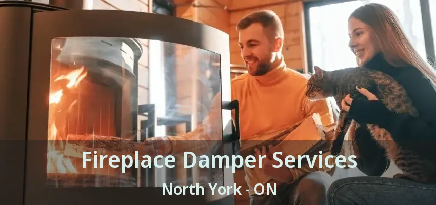 Fireplace Damper Services North York - ON
