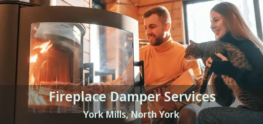 Fireplace Damper Services York Mills, North York - ON