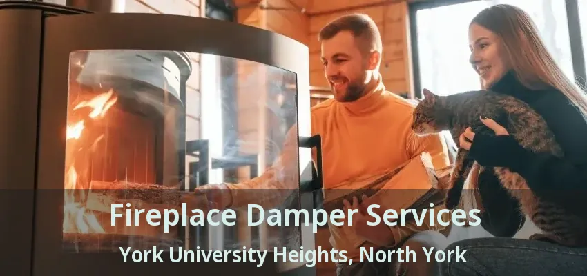 Fireplace Damper Services York University Heights, North York - ON
