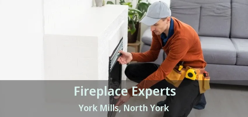 Fireplace Experts York Mills, North York - ON